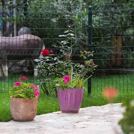 Aybek Villa Fethiye
